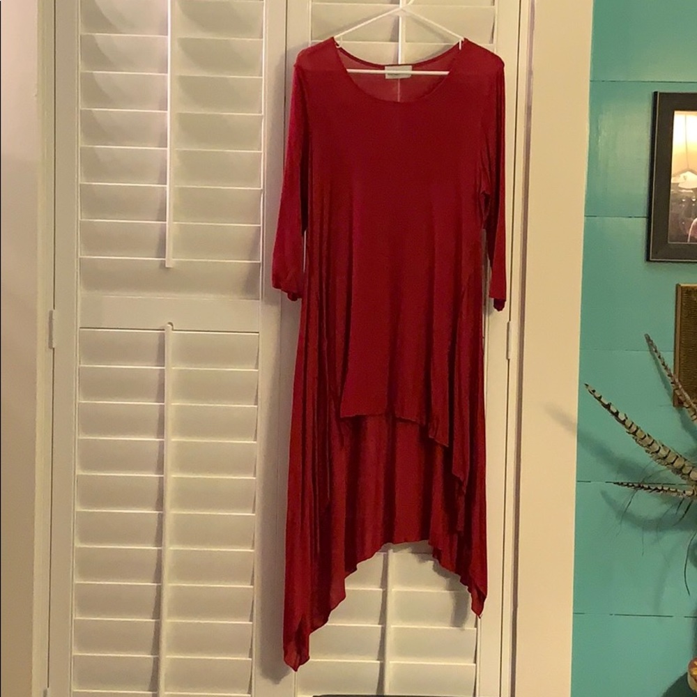 Camille & Co. Red Sheer Red Tunic Size M